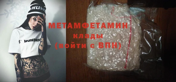 шишки Ельня