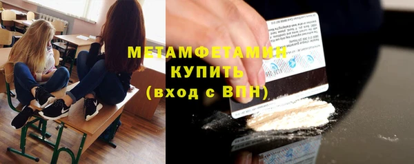 шишки Ельня