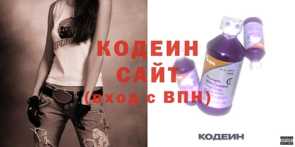шишки Ельня