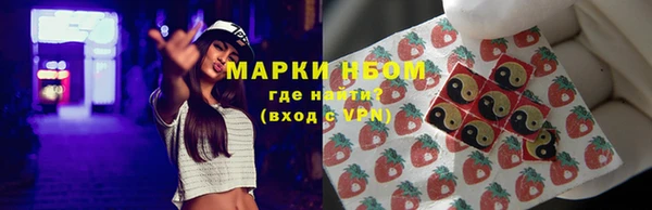 шишки Ельня
