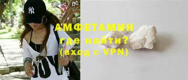 шишки Ельня