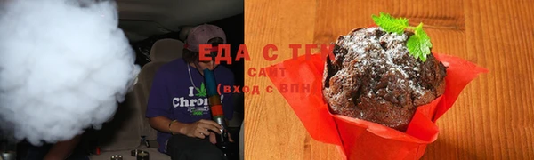 шишки Ельня