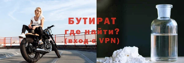 шишки Ельня