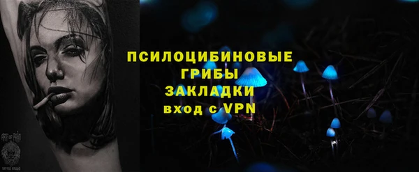винт Елизово