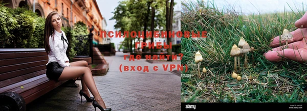 шишки Ельня