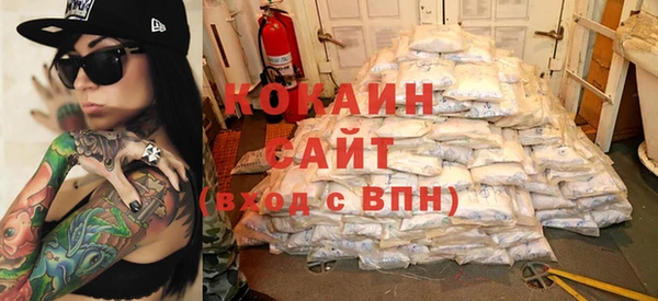 шишки Ельня