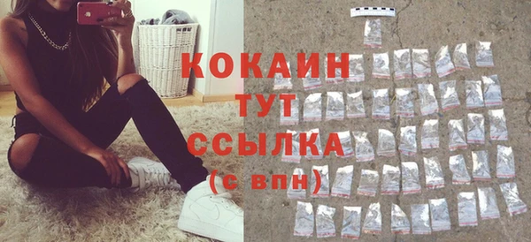 шишки Ельня