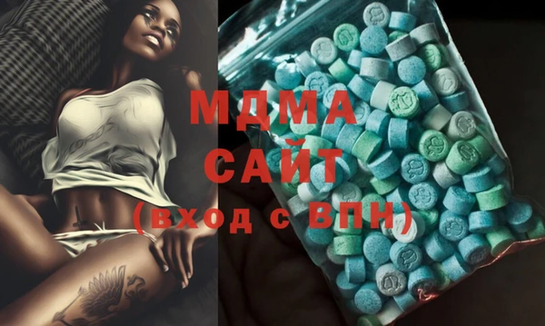 шишки Ельня