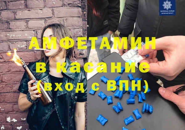 шишки Ельня
