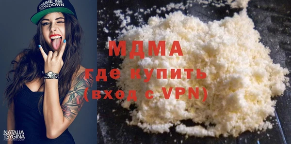 шишки Ельня