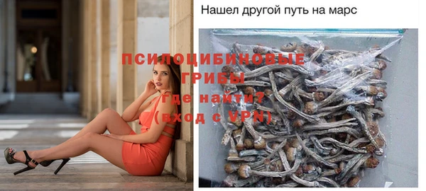 спиды Бабаево