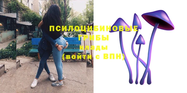 винт Елизово