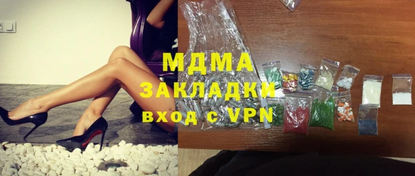 шишки Ельня